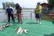 Рыболовно-охотничья база «Райтель»